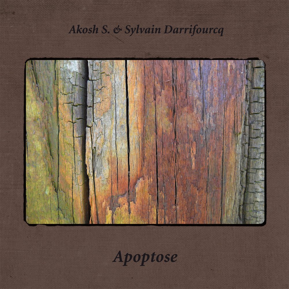 Akosh S. & Sylvain Darrifourcq - Apoptose